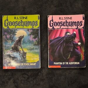 Goosebumps Book Set - 14 & 24 Green & Pink Covers